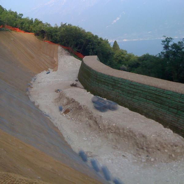 (C0 035) VALLO PARAMASSI - COMUNE DI GARGNANO (BS)